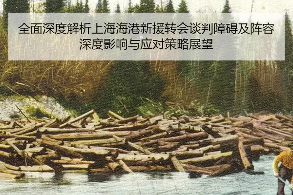 全面深度解析上海海港新援转会谈判障碍及阵容深度影响与应对策略展望