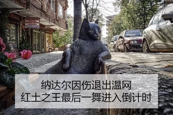 na-da-er-yin-shang-tui-chu-wen-wang-hong-tu-zhi-wang-zui-hou-yi-wu-jin-ru-dao-ji-shi-3-179.jpg